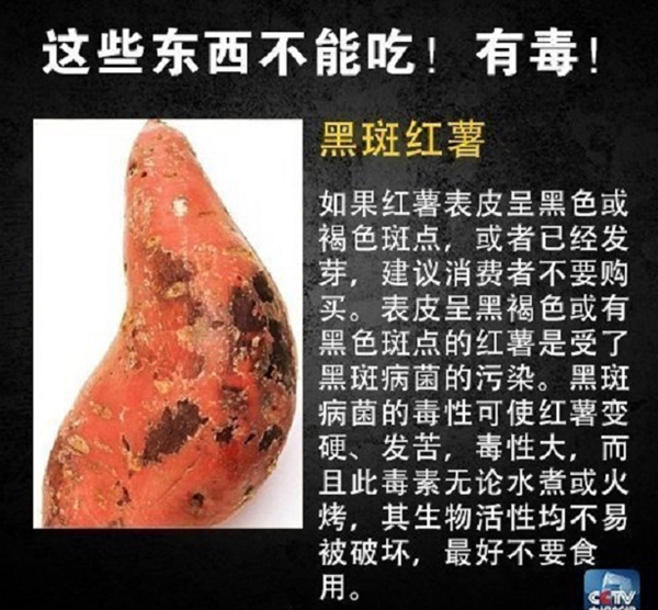 网友在山姆买到剧毒蓝环章鱼 央视科普：这几样常见食物也不能吃-第4张图片-9158手机教程网