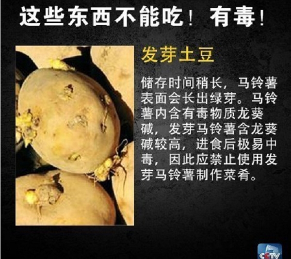 网友在山姆买到剧毒蓝环章鱼 央视科普：这几样常见食物也不能吃-第5张图片-9158手机教程网