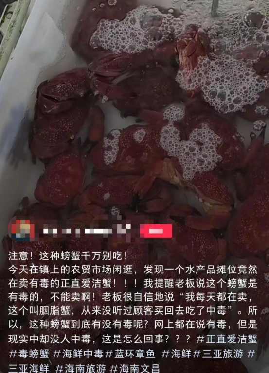 蓝环章鱼后又现毒螃蟹 正直爱洁蟹听说过没？体内会累计毒素-第1张图片-9158手机教程网