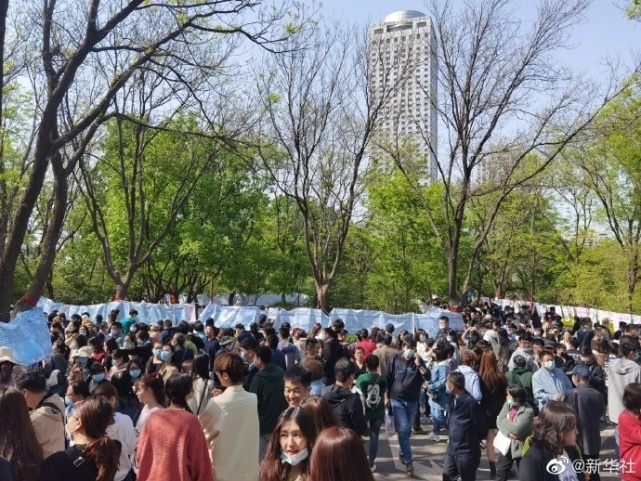 初婚人数首次跌破1200万人，8年下降了51.5%，单身群体日益扩大-第3张图片-9158手机教程网