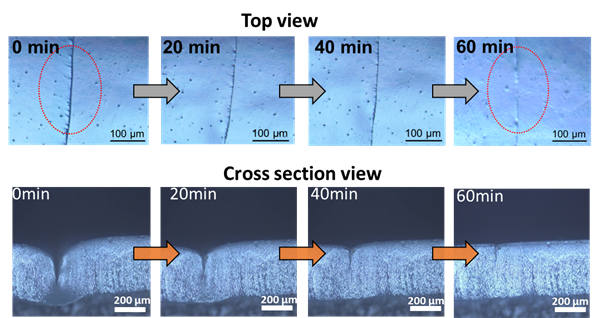 未命名-第2张图片-9158手机教程网