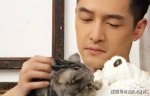 胡歌商业版图：关联6家公司 胡歌为什么这么受欢迎路人缘这么好-第4张图片-9158手机教程网