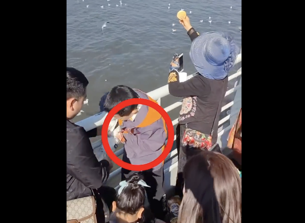 父母帮小男孩抓海鸥强行塞进塑料瓶 网友：熊孩子一定拥有熊家长-第1张图片-9158手机教程网