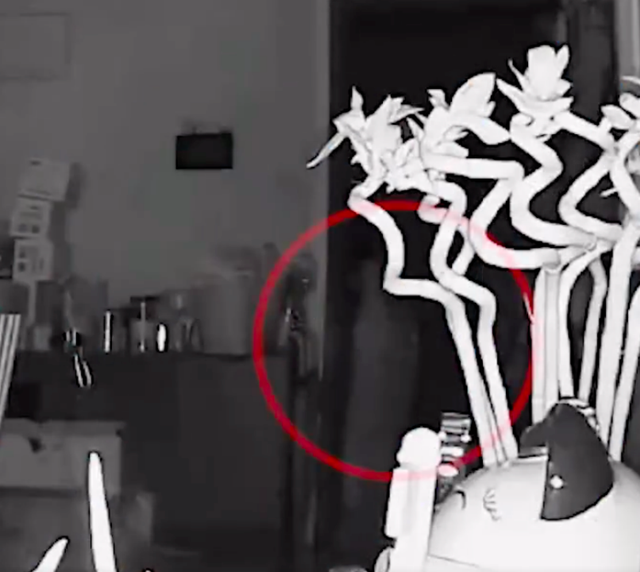 警方调查宠物狗被邻居砍杀案 涉事人称为自保连砍十几刀-第2张图片-9158手机教程网