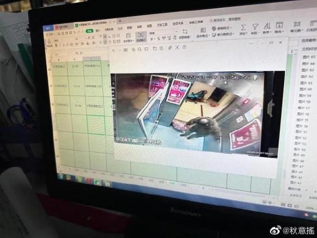 警方调查宠物狗被邻居砍杀案 涉事人称为自保连砍十几刀-第6张图片-9158手机教程网