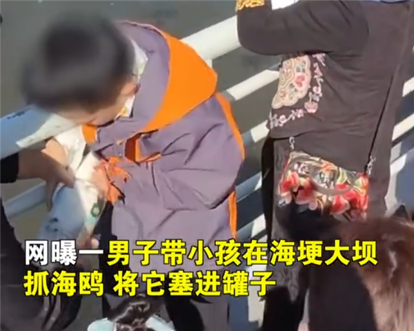 家长带男孩抓海鸥硬生生塞进罐子 惹网友众怒:应善待动物-第1张图片-9158手机教程网 家长带男孩抓海鸥硬生生塞进罐子 惹网友众怒:应善待动物-第1张图片-9158手机教程网