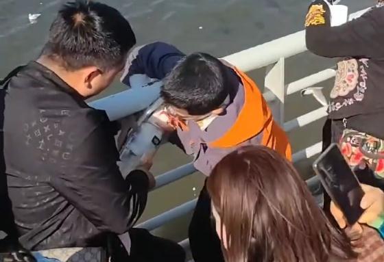 警方回应父母帮男孩抓海鸥塞瓶子：已联系涉事人员，处罚由林草大队裁定-第2张图片-9158手机教程网