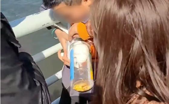 警方回应父母帮男孩抓海鸥塞瓶子：已联系涉事人员，处罚由林草大队裁定-第3张图片-9158手机教程网
