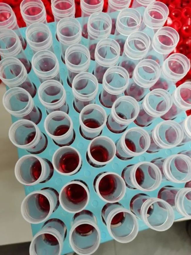 女孩逃离大城市回县城 工作5年倒贴4万，县城容不下的不止是灵魂-第4张图片-9158手机教程网