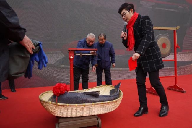 山东一97.6斤头鱼58.8万拍出 太白湖头网鱼王好兆头-第7张图片-9158手机教程网