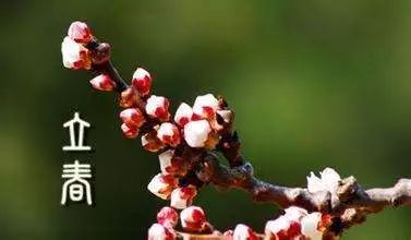 癸卯兔年有两个立春,立春有哪些禁忌和讲究?-第14张图片-9158手机教程网 癸卯兔年有两个立春,立春有哪些禁忌和讲究?-第14张图片-9158手机教程网