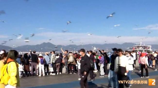 父母帮男孩抓海鸥塞瓶子后续来了 监护人被罚两千-第7张图片-9158手机教程网 父母帮男孩抓海鸥塞瓶子后续来了 监护人被罚两千-第7张图片-9158手机教程网