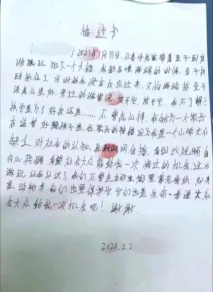 父母帮男孩抓海鸥塞瓶子后续来了 监护人被罚两千-第5张图片-9158手机教程网 父母帮男孩抓海鸥塞瓶子后续来了 监护人被罚两千-第5张图片-9158手机教程网