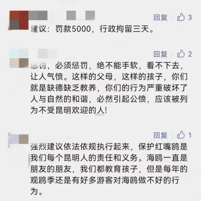 父母帮男孩抓海鸥塞瓶子后续来了 监护人被罚两千-第2张图片-9158手机教程网 父母帮男孩抓海鸥塞瓶子后续来了 监护人被罚两千-第2张图片-9158手机教程网