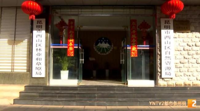 父母帮男孩抓海鸥塞瓶子后续来了 监护人被罚两千-第3张图片-9158手机教程网 父母帮男孩抓海鸥塞瓶子后续来了 监护人被罚两千-第3张图片-9158手机教程网