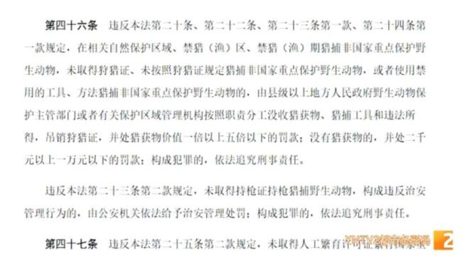 父母帮男孩抓海鸥塞瓶子后续来了 监护人被罚两千-第6张图片-9158手机教程网 父母帮男孩抓海鸥塞瓶子后续来了 监护人被罚两千-第6张图片-9158手机教程网