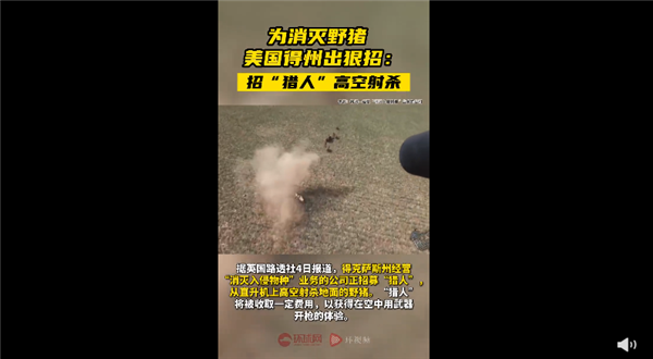 消灭入侵物种野猪！美国招猎人高空重武器射杀 过程刺激-第1张图片-9158手机教程网