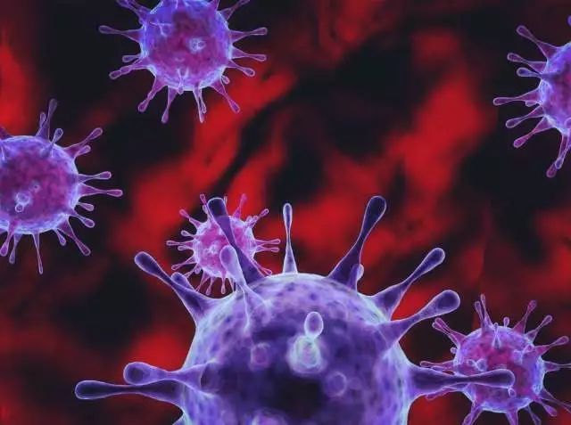 所有人都易感重复感染！诺如病毒高发期：一人中招全家倒霉-第1张图片-9158手机教程网