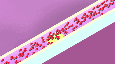 研究：每口甜饮料或都在薅你的头发，你秃了吗 还敢喝吗-第4张图片-9158手机教程网