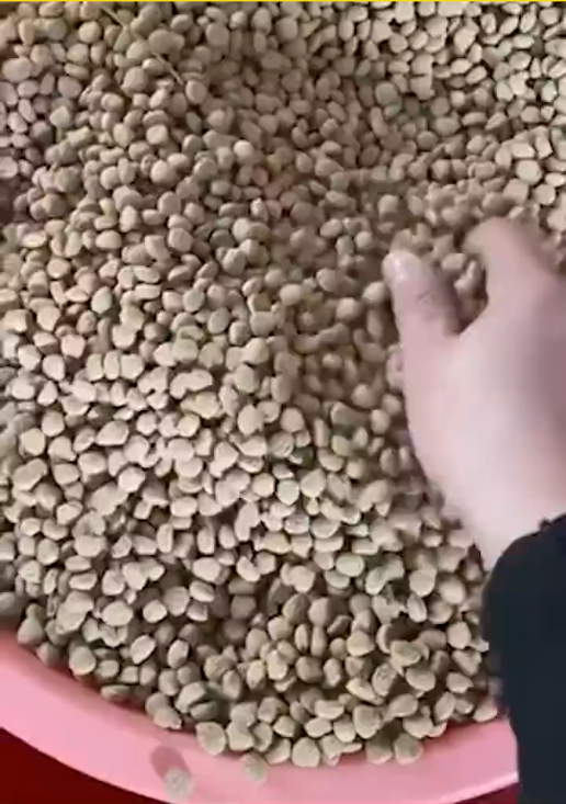 狗主人买廉价狗粮竟掺土和锯末致死亡：频繁呕吐拉稀便秘，最后吐血死亡-第2张图片-9158手机教程网