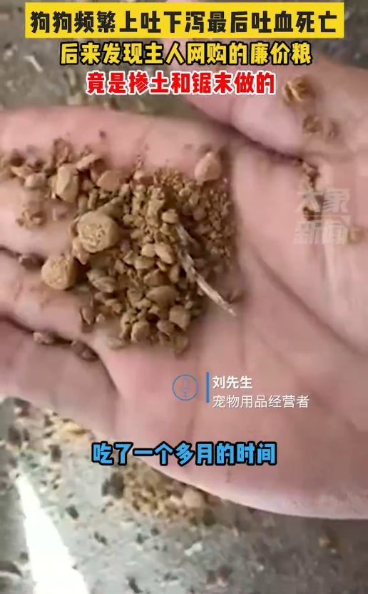 狗主人买廉价狗粮竟掺土和锯末致死亡：频繁呕吐拉稀便秘，最后吐血死亡-第1张图片-9158手机教程网