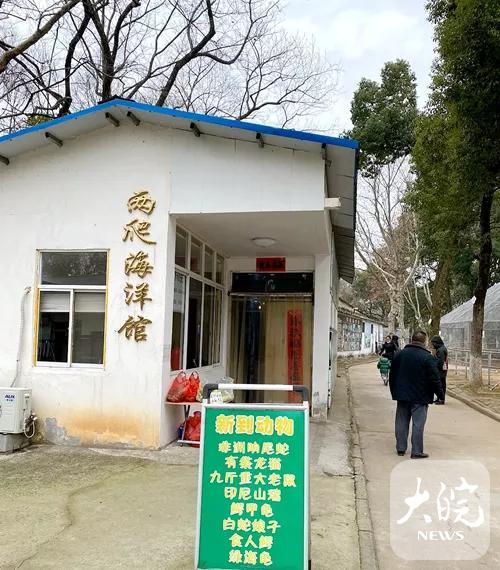 “九斤重大老鼠” 身份查清了 实为海狸鼠最大体长29厘米-第1张图片-9158手机教程网