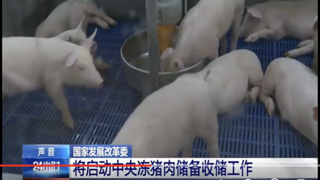 国家出手了！发改委启动中央冻猪肉收储，猪价4月迎拐点？发布一级预警-第1张图片-9158手机教程网