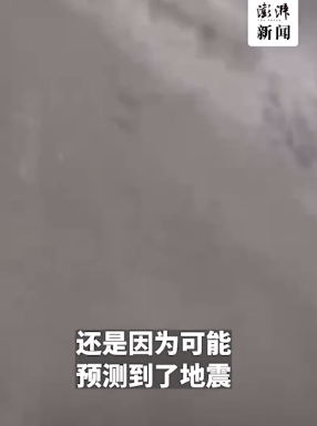 女生口述土耳其强震：千人滞留机场，航班全部取消 店家缠黑丝带哀悼-第4张图片-9158手机教程网