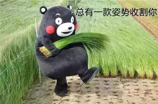 ChatGPT都快成韭菜收割机了！A股出现魔幻一幕-第10张图片-9158手机教程网