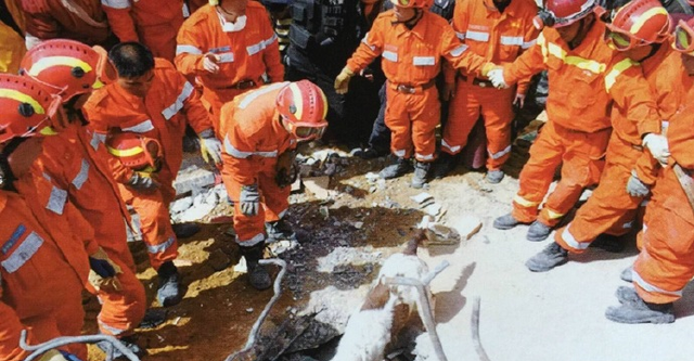 中国的12次国际救援：人类命运共同体的最佳注脚-第1张图片-9158手机教程网