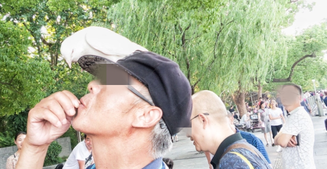 70岁大爷常喂鸽子感染隐球菌：肺上多了个“洞”-第1张图片-9158手机教程网