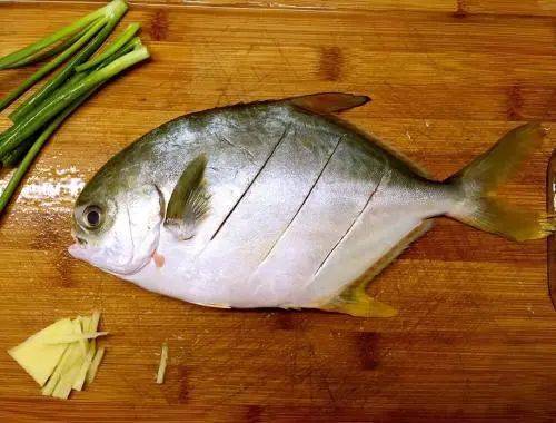 老人处理鲳鱼感染海洋创伤弧菌离世，开始症状并不明显 处理海产时一定要注意-第5张图片-9158手机教程网