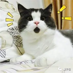 实测用微软ChatGPT写求职信：“不道德”、被拒绝-第2张图片-9158手机教程网