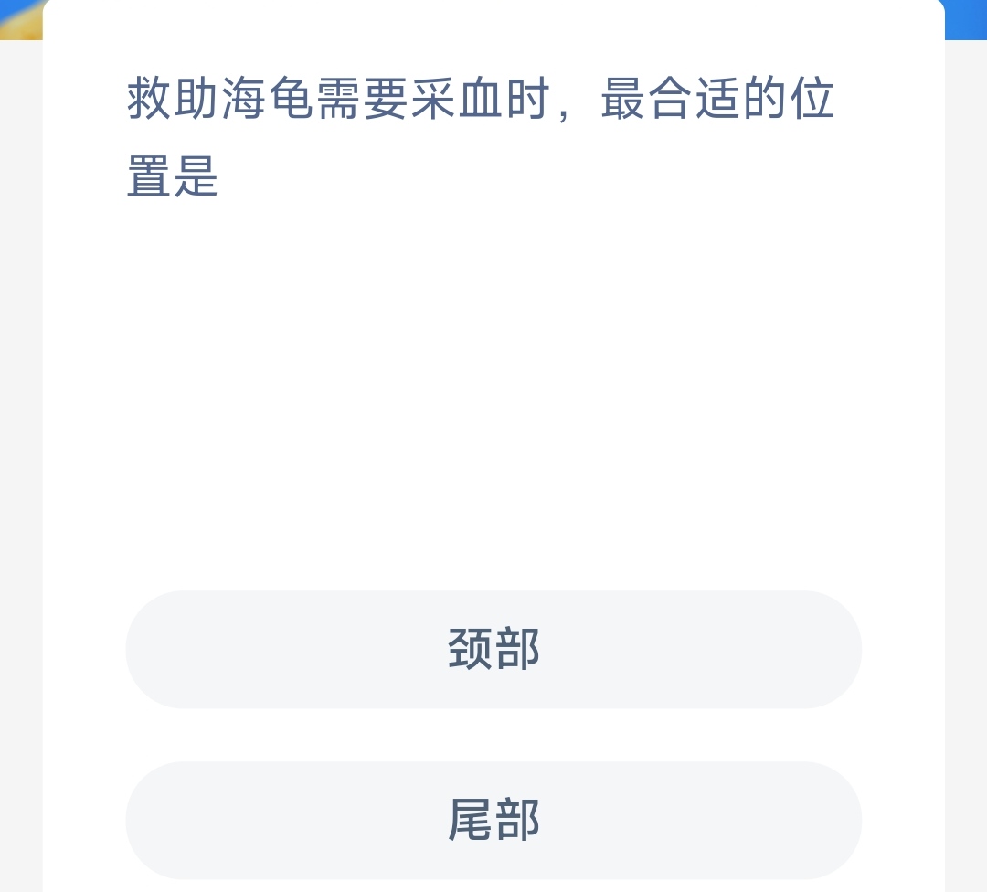 神奇海洋救助海龟需要采血时 最合适的位置是-第1张图片-9158手机教程网