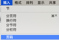 pages怎么插入页码-第3张图片-9158手机教程网