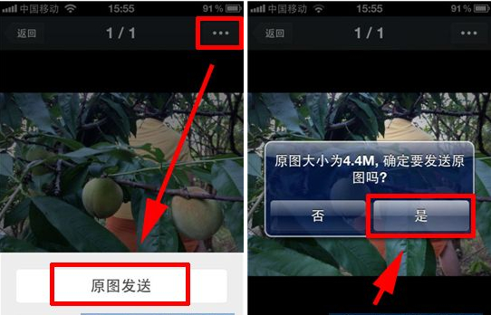 微信ios版怎么发送高清大图-第2张图片-9158手机教程网 微信ios版怎么发送高清大图-第2张图片-9158手机教程网