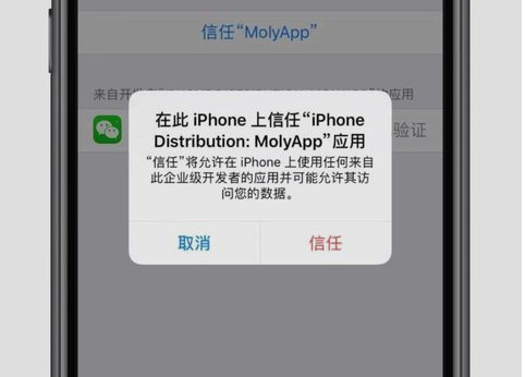 苹果手机怎么下载微信分身-第5张图片-9158手机教程网