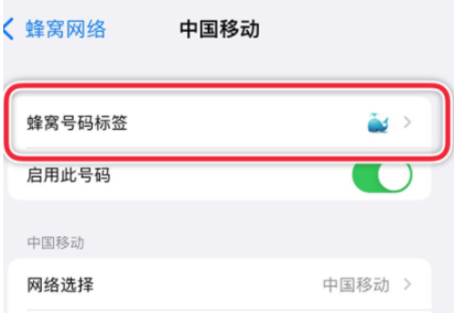 iphone13怎么设置主副号-第3张图片-9158手机教程网