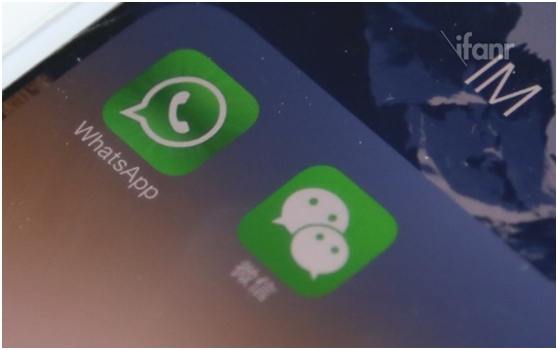 whatsapp和微信的区别-第3张图片-9158手机教程网