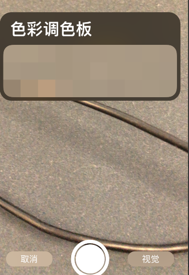 procreate pocket怎样进行拍照取色-第4张图片-9158手机教程网