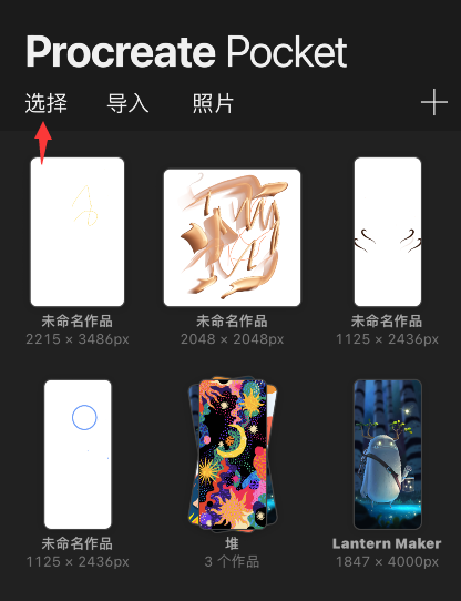 procreate pocket怎样预览图片-第1张图片-9158手机教程网