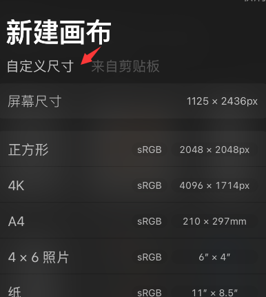 procreate pocket怎样新建画布-第3张图片-9158手机教程网
