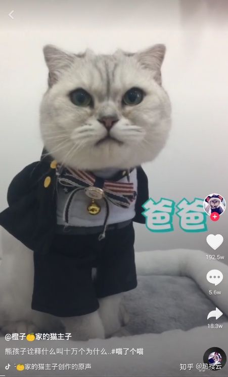 做抖音发什么内容最容易火？-第1张图片-9158手机教程网