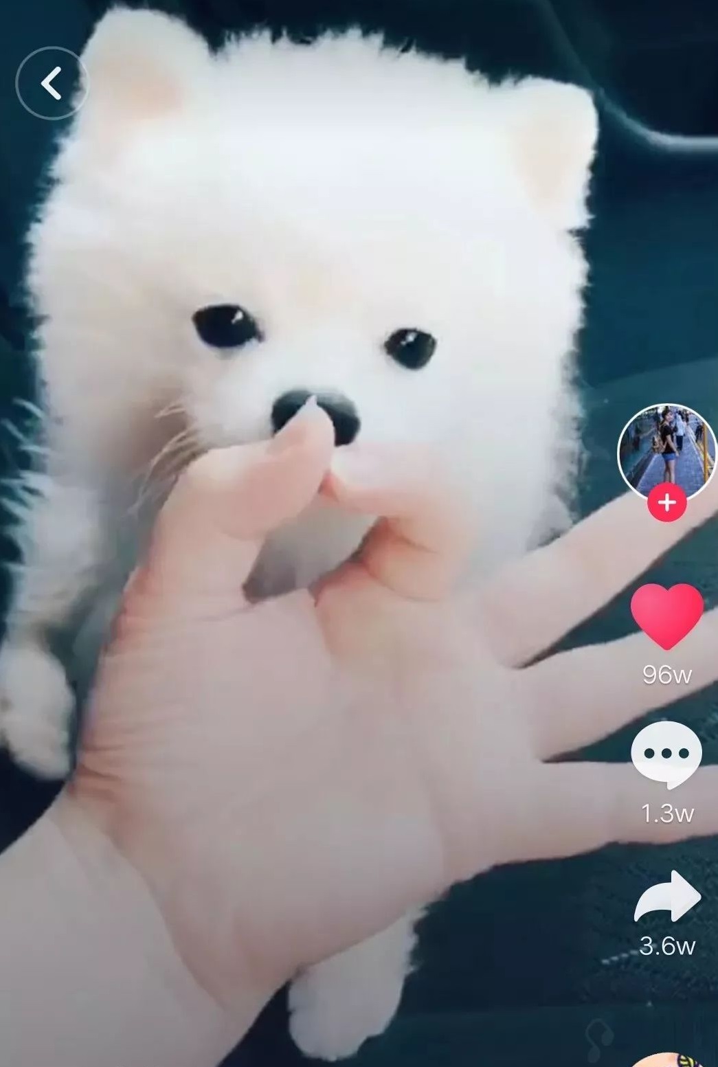 抖音爆款短视频背后的6条原理-第1张图片-9158手机教程网