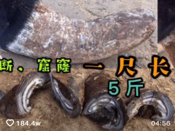 土味解压视频，靠什么迷住了当代年轻人-第1张图片-9158手机教程网